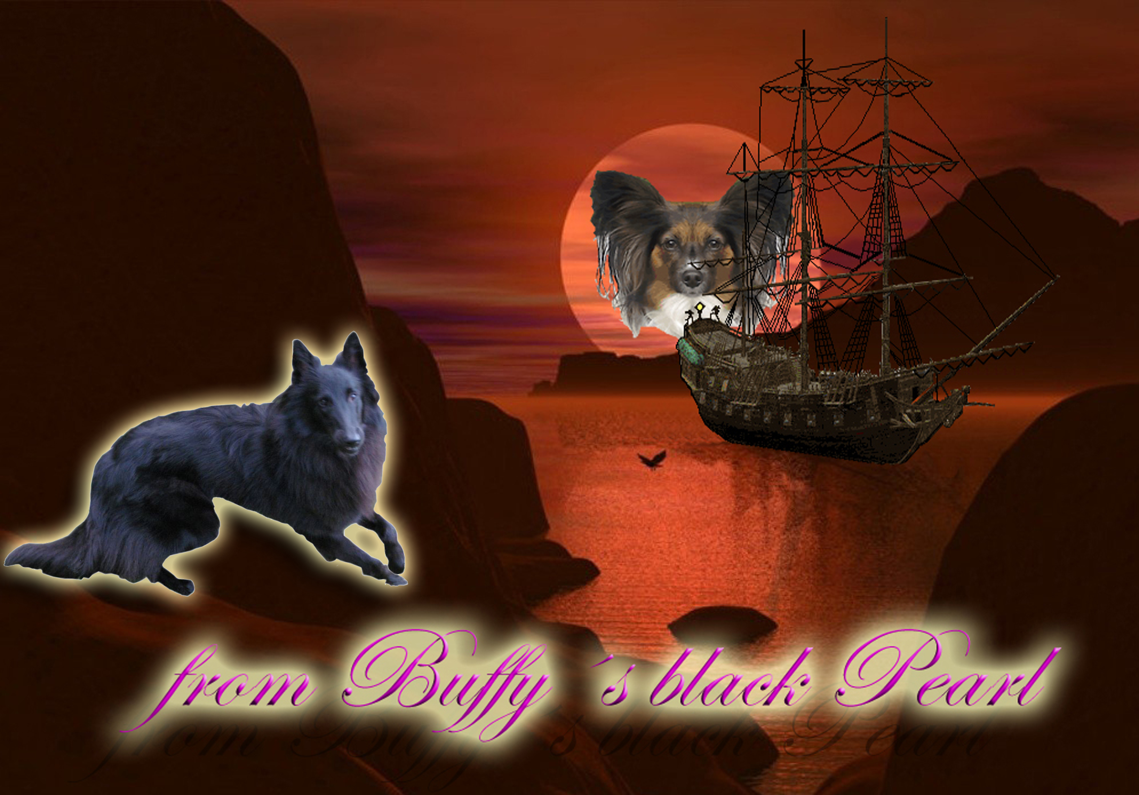 Banner from Buffys black Pearl mit Evolet Fahne